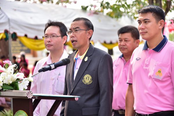 เทศกาลชมพูพันธุ์ทิพย์บานสะพรั่งที่มหาวิทยาลัยเกษตรศาสตร์