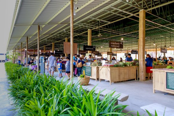 สวนสามพราน-มูลนิธิสังคมสุขใจ จัดงานครบรอบ 9 ปี