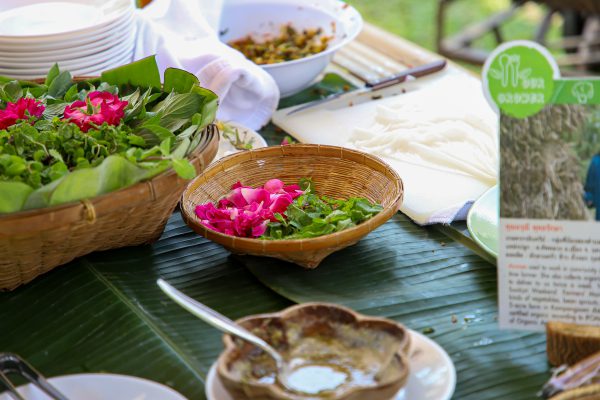 สวนสามพรานจัดงาน Open House พื้นที่สร้างแรงบันดาลใจในการเรียนรู้เพื่อการเปลี่ยนแปลง