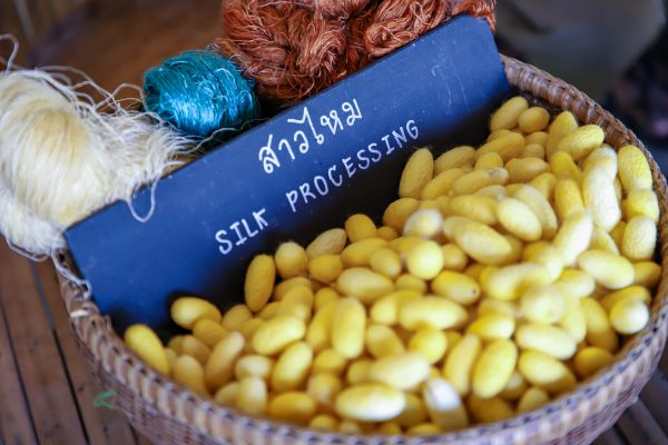 สวนสามพรานจัดงาน Open House พื้นที่สร้างแรงบันดาลใจในการเรียนรู้เพื่อการเปลี่ยนแปลง